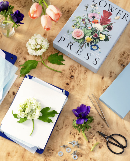 Floral press kit prepped with flowers for pressing.
