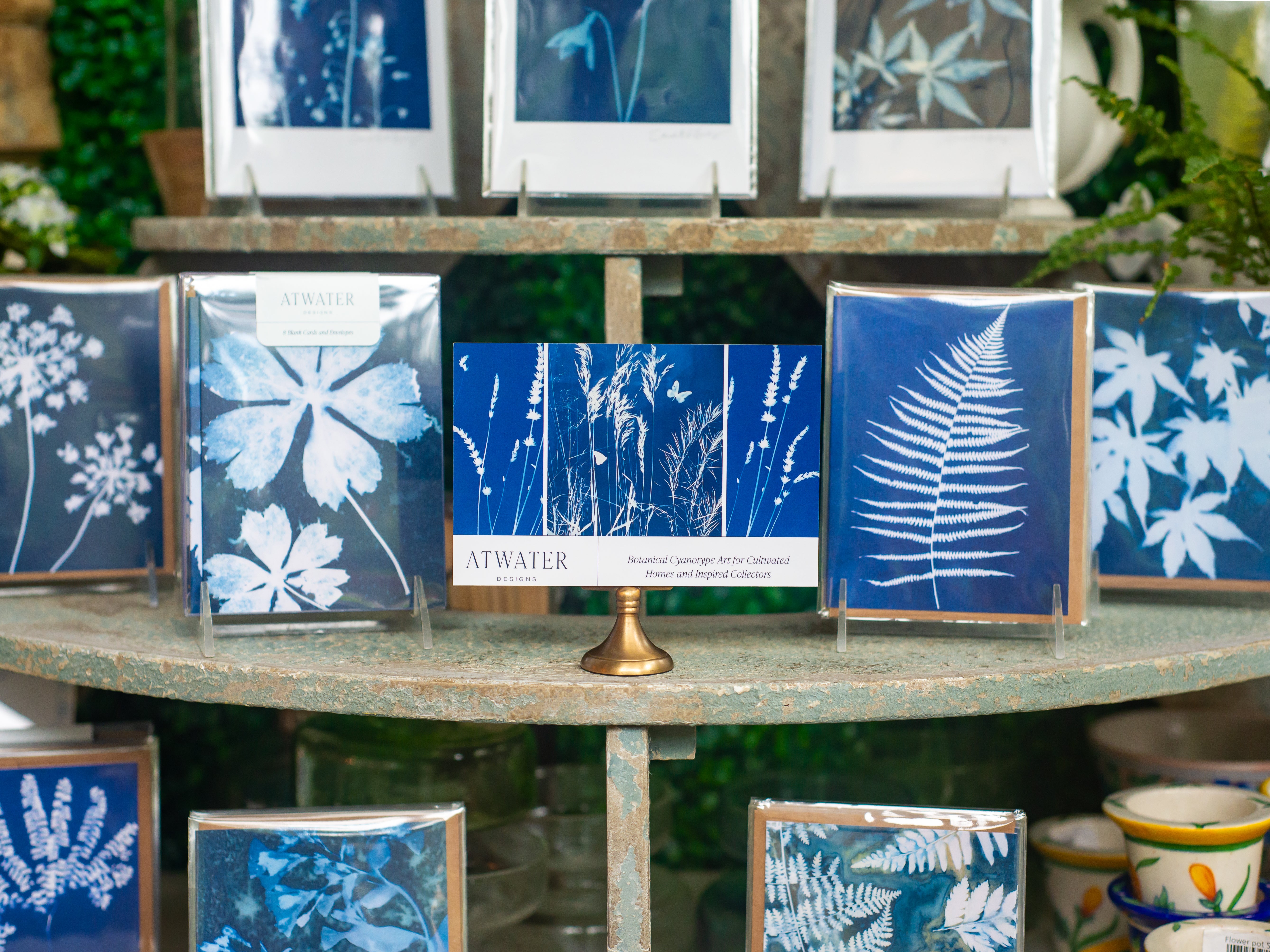 Botanical Cyanotype Art by Atwater Designs | Winterthur Museum Store