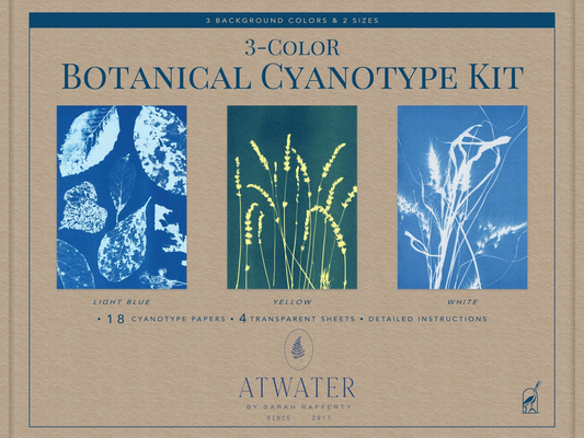 Craft box entitled '3-Color Botanical Cyanotype Kit' featuring three botanical print designs. Kit includes 18 cyanotype papers, 4 transparent sheets, and detailed instructions. 