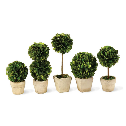 PG Mini Topiaries