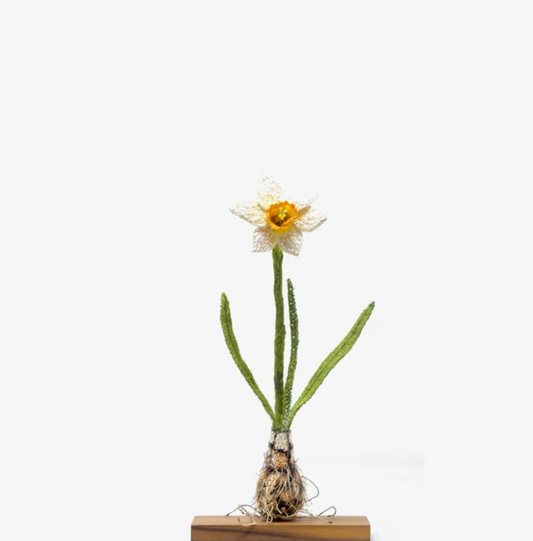 Object Art Daffodil