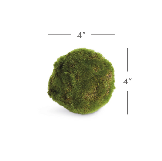 Moss Orb 4"