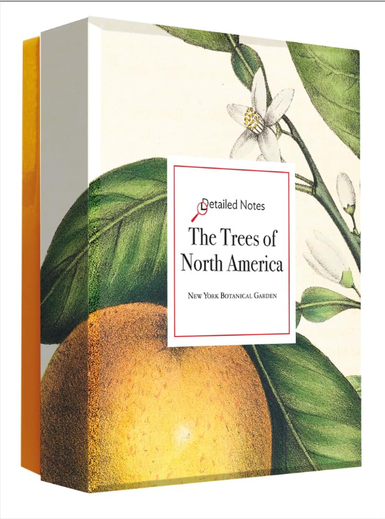 Trees of North America Notecard Set