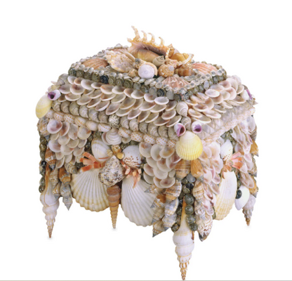 Boardwalk Natural Shell Box