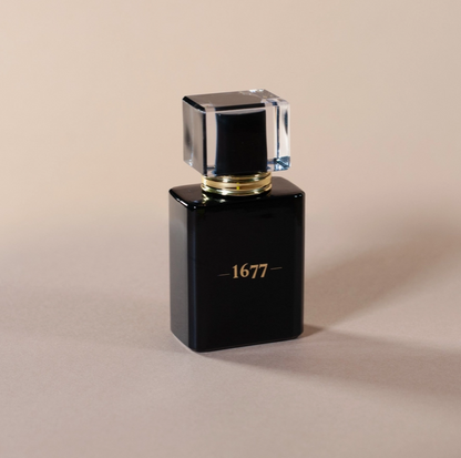 Gentlemen 1677 Cologne