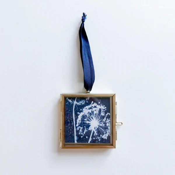 Blue and white allium cyanotype print in a gold frame with a blue ribbon