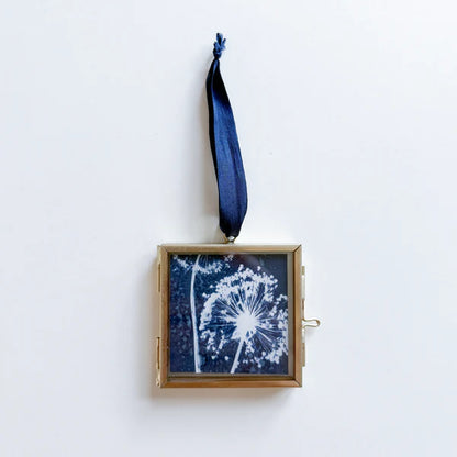 Blue and white allium cyanotype print in a gold frame with a blue ribbon