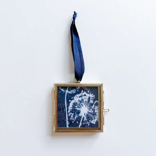 Blue and white allium cyanotype print in a gold frame with a blue ribbon