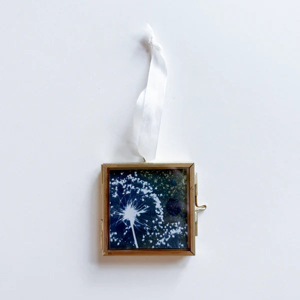 Blue and white allium cyanotype print in a gold frame with a white ribbon
