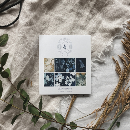 White card displaying 8 botanical cyanotype prints entitled 'Slow Mornings' on a linen cloth surrounded by plants