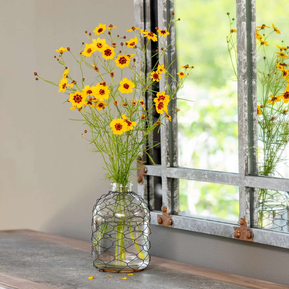 Short Poultry Wire Glass Bottle
